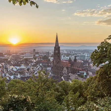 Hokk Freiburg im Breisgau