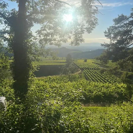 Hokk Im Sportpark Hotel *