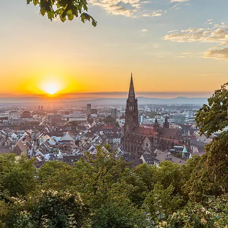 Hokk Im Sportpark * Fryburg Bryzgowijski