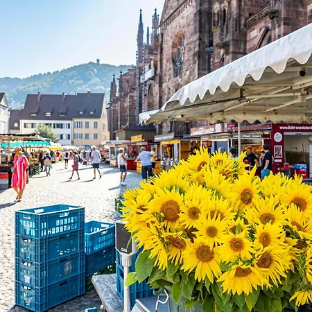 Hotel Hokk Im Sportpark Friburgo de Brisgovia